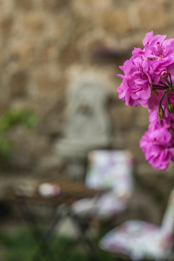 B&B Etruscan Garden Сутри Экстерьер фото