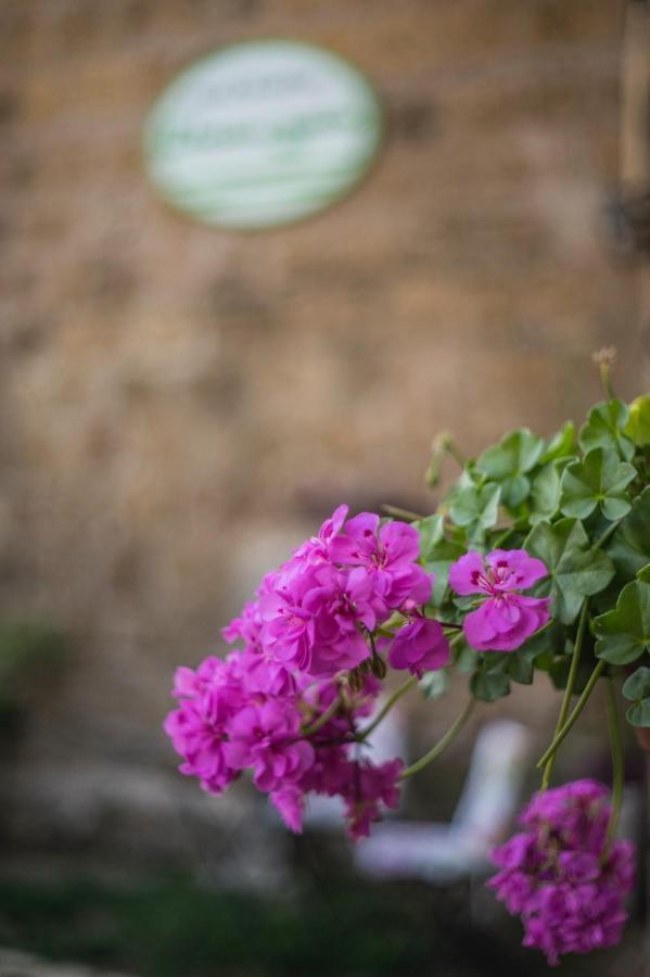 B&B Etruscan Garden Сутри Экстерьер фото
